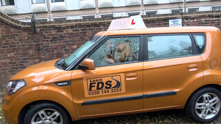 Fake Driving School nem kúrnál inkább popóba a vezetés helyett ?