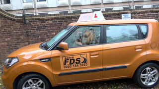 Fake Driving School cuki japán picsa dugni akar