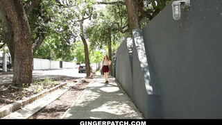 GingerPatch - szépséges kicsike vörös spiné és a szomszédja